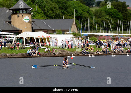 Castle Semple Visitor Centre, Lochwinnoch, Renfrewshire, Schottland, Großbritannien, Samstag, 14. Juni 2014. Die Castle Semple Rowing Club Regatta ist die größte eintägige Regatta in Schottland und wird am Castle Semple Loch im Clyde Muirshiel Regional Park abgehalten Stockfoto