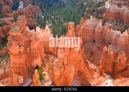 Zeigen Sie am frühen Morgen aus dem Rim Trail am Bryce-Canyon-Nationalpark im Südwesten Utah an Stockfoto