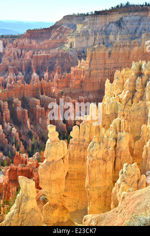 Zeigen Sie am frühen Morgen aus dem Rim Trail am Bryce-Canyon-Nationalpark im Südwesten Utah an Stockfoto