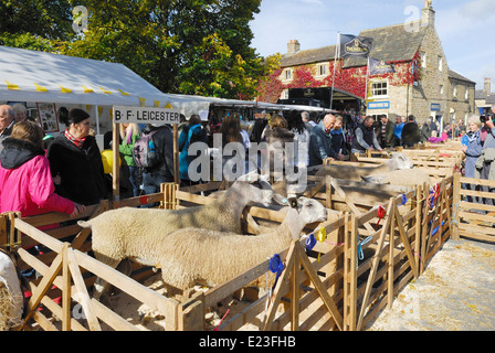 Masham Schafe Messe Stockfoto