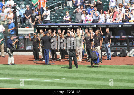 New York, New York, USA. 14. Juni 2014. San Diego Padres Vs. New York Mets im Citifield Credit: Bruce Cotler/Globe Photos/ZUMAPRESS.com/Alamy Live-Nachrichten Stockfoto