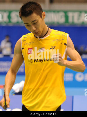 Tokio, Japan. 15. Juni 2014. Lee Chong Wei von Malaysia feiert nach der Herren Einzel Finale gegen Hu Yun aus China Hongkong bei Yonex Open Japan in Tokio, Japan, 15. Juni 2014 Match. Lee gewann mit 2: 0 und holte sich den Titel. © Stringer/Xinhua/Alamy Live-Nachrichten Stockfoto