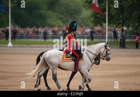 Horse Guards Parade, London UK. 14. Juni 2014. Mitglieder der königlichen Familie verlassen die Exerzierplatz, HRH The Duke of Cambridge, Oberst Irish Guards mit HRH The Princess Royal, Oberst The Blues and Royals. Bildnachweis: Malcolm Park Leitartikel/Alamy Live-Nachrichten Stockfoto