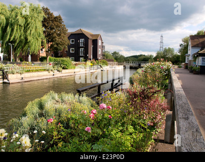 Sandford Lock, Themse, Sandford-on-Thames, Oxfordshire, Vereinigtes Königreich Stockfoto