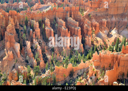 Zeigen Sie am frühen Morgen aus dem Rim Trail am Bryce-Canyon-Nationalpark im Südwesten Utah an Stockfoto