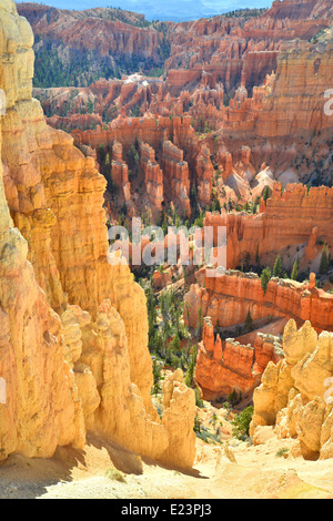 Zeigen Sie am frühen Morgen aus dem Rim Trail am Bryce-Canyon-Nationalpark im Südwesten Utah an Stockfoto