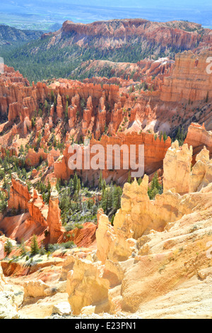 Zeigen Sie am frühen Morgen aus dem Rim Trail am Bryce-Canyon-Nationalpark im Südwesten Utah an Stockfoto