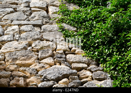 Überwucherten Mauer im mittelalterlichen Dorf Lacoste, Provence, Frankreich Stockfoto