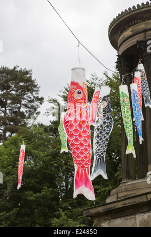 Bunte Karpfen-flags, Koinobori, für Kindertag in Japan, 5. Mai, in Tatton Park, Cheshire Stockfoto