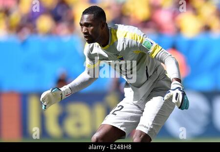 Brasilia, Brasilien. 15. Juni 2014. Alexander Dominguez (Ecuador) während einer Gruppe E match zwischen der Schweiz und in Ecuador von 2014 FIFA World Cup im Stadion Estadio Nacional in Brasilia, Hauptstadt von Brasilien, 15. Juni 2014. Bildnachweis: Action Plus Sport Bilder/Alamy Live News Stockfoto