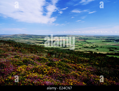 Blick vom Llanmadoc Hill über Norden Gower Heather im Vordergrund Gower Halbinsel Swansea County South Wales UK Stockfoto