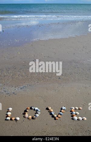 Liebe mit Muscheln am Strand geschrieben. Stockfoto