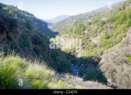 Landschaft des Flusses Rio Poqueira Schlucht Tal, hohe Alpujarras, Sierra Nevada, Provinz Granada, Spanien Stockfoto