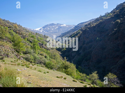 Landschaft des Flusses Rio Poqueira Schlucht Tal, hohe Alpujarras, Sierra Nevada, Provinz Granada, Spanien Stockfoto