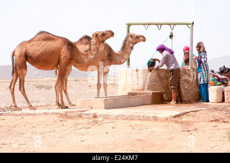 Nomaden sammeln von Wasser aus einem traditionellen Brunnen in der Nähe von Erfoud im Süden von Marokko, Nordafrika. Stockfoto