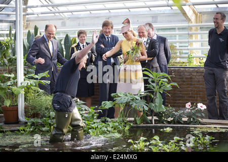 Königin Maxima mit einem fleischfressenden (Vleesetende) bei der Eröffnung des renovierten tropischen Gewächshausanlage im Hortus Botanicus Leiden. Leiden, Niederlande - 04.09.2013 zur Veröffentlichung im wo: UK, USA bei: 04 Sep 2013 Stockfoto