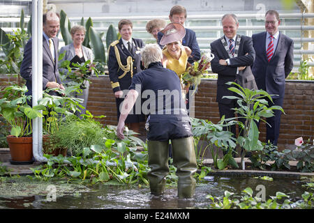 Königin Maxima mit einem fleischfressenden (Vleesetende) bei der Eröffnung des renovierten tropischen Gewächshausanlage im Hortus Botanicus Leiden. Leiden, Niederlande - 04.09.2013 zur Veröffentlichung im wo: UK, USA bei: 04 Sep 2013 Stockfoto