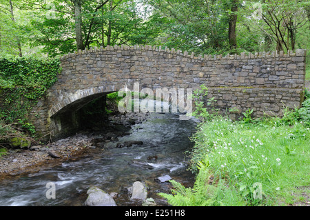 Alte Steinbrücke über Heddon Fluß Heddon Valley Exmoor National Park Devon England UK GB Stockfoto