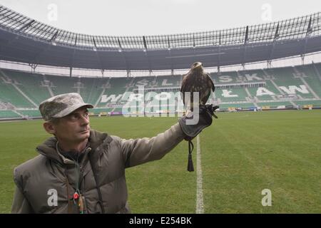 TROJAN HAWK Andrzej Trojaner den Boden Keeper im Stadion Miejski (The Municipal Stadium), Heimat der besten polnischen Fußball Club Śląsk Breslau, beschäftigt ein resident Falke, andere Vögel nisten und allgemeine Schädlingsbekämpfung der Arena abhalten. Die 42.771 fassende Stadion befindet sich auf Aleja Śląska im westlichen Teil des Stadtteils Pilczyce. Gebaut für die Europameisterschaft 2012 ist es die drittgrößte in Polen nach Warschauer Nationalstadion und das Schlesische Stadion.  Mitwirkende: Hawk an das städtische Stadion wo: Wroclaw/Breslau, DOLNOSLASKIE, Polen bei: 28. März 2013 Stockfoto