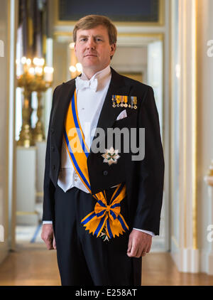 Offiziellen Porträts von König Willem-Alexander und Maxima der Königin der Niederlande mit: König Willem-Alexander wo: Amsterdam, Niederlande: 30. April 2013 Stockfoto