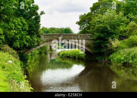 Steinbrücke über Warenkorb Wildwasser im Pollok Country Park in Glasgow, Scotland, UK Stockfoto