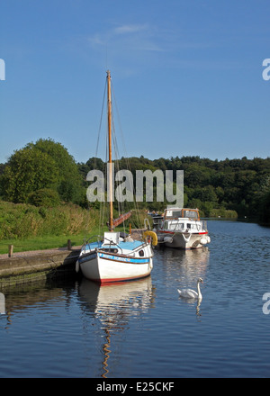 Boote auf den schönen Norfolk Broads, in der Nähe von Norwich, Norfolk, England Stockfoto