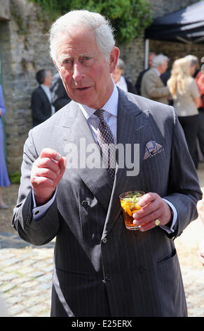 Charles, Prinz von Wales genießt eine Pimms beim Start für die Krönung Wiesen Initiative mit: Prinz Charles, Prince Of Wales wo: Doughton, Gloucestershire, Vereinigtes Königreich bei: 5. Juni 2013 Stockfoto