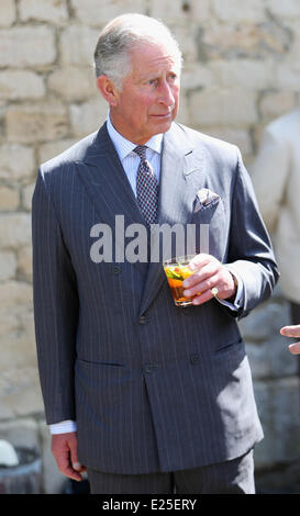 Charles, Prinz von Wales genießt eine Pimms beim Start für die Krönung Wiesen Initiative mit: Prinz Charles, Prince Of Wales wo: Doughton, Gloucestershire, Vereinigtes Königreich bei: 5. Juni 2013 Stockfoto