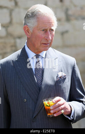 Charles, Prinz von Wales genießt eine Pimms beim Start für die Krönung Wiesen Initiative mit: Prinz Charles, Prince Of Wales wo: Doughton, Gloucestershire, Vereinigtes Königreich bei: 5. Juni 2013 Stockfoto