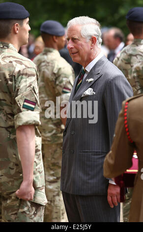 Prinz Charles, Prinz von Wales präsentiert Betrieb Medaillen an die Soldaten der Royal Dragoon Guards im Clarence House am 27. Juni 2013 in London, England. Königliche Rota Photo by Tim P. Whitby - Ian Jones Fotografie mit geliefert: Prinz Charles, Prince Of Wales wo: London, Vereinigtes Königreich bei: 27. Juni 2013 Stockfoto