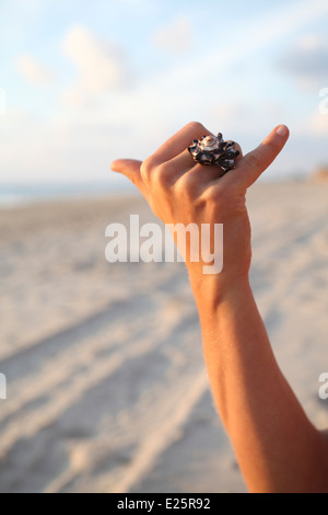 Zarte Frauenhand trägt einen Shell-ring Stockfoto