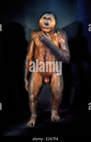 Spanien, Burgos: Modell eines Paranthropus robustus in Museum der menschlichen Evolution Stockfoto