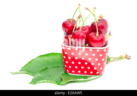 Natürliche Bio Sommer Ernährung für vegetarische Gourmet-große Reife Kirsche nassen Beerenfrüchte in kleine quadratische Schale Schale isoliert Stockfoto