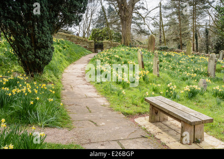 Friedhof im Frühling mit Narzissen, Blumen, Bäume, Fußweg und eine Bank Stockfoto