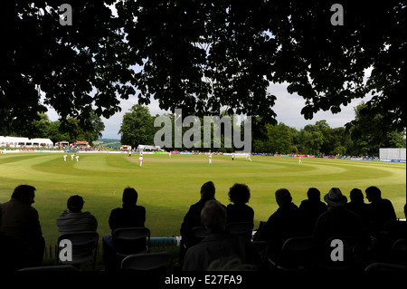 Publikum beobachten Sussex-Cricket-Match auf dem hübschen Arundel Castle ground Stockfoto