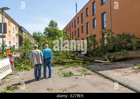 Sturmschäden, verursacht durch ein schweres Gewitter über dem Rheinland und dem Ruhrgebiet, mit 6 Toten und verletzen mehr als 50 großen Schaden verursachen. Stockfoto