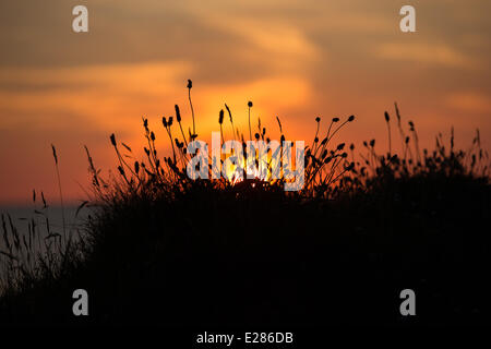 Clarach, Cardigan Bay, mid Wales, UK. 16. Juni 2014. Ein reiche, roter ruhiger und gründlich romantischer Sonnenuntergang begeistert Urlauber wohnen im camping Village in der Nähe von Aberystwyth Clarach Bucht. Stockfoto