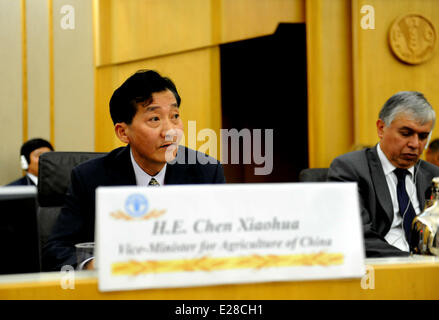 Rom, Italien. 16. Juni 2014. Chen Xiaohua Chinesisch stellvertretender Landwirtschaftsminister hält eine Rede bei der Verleihung am Hauptsitz der FAO in Rom, Italien, am 16. Juni 2014. Die UN Ernährungs- und landwirtschaftliche Organization(FAO) erkannt Chinas "herausragenden Fortschritt" gegen den Hunger am Montag für das erzielen des ersten Millenniums Ziel (MDG), nämlich die Halbierung des Anteils der unterernährten Menschen seit 1990. Bildnachweis: Xinhua/Alamy Live-Nachrichten Stockfoto