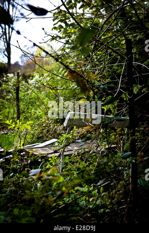 Alte Bank auf überwucherten Rasen bank Stockfoto