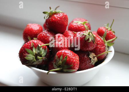 Aroma frisch Garten rote mellow Erdbeeren in weißer Teller Stockfoto