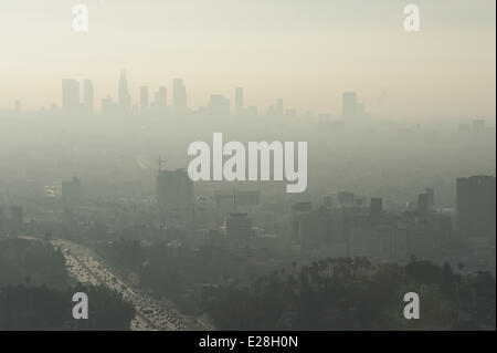 Los Angeles, Kalifornien, USA. 28. Januar 2014. Der Blick, Blick nach Süden über Los Angeles und die 101 Freeway aus den Hollywood Hills. Morgen Nebel, Smog, Nebel und eine marine Schicht sanft Glätten der Gebäude, Palmen und Wohnungen in dieser Ansicht mit LA Zentrum in der Ferne sehen. © David Bro/ZUMAPRESS.com/Alamy Live-Nachrichten Stockfoto