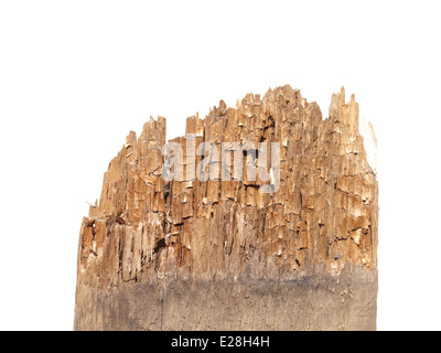 Alten faulen Brettern von einem Ende isoliert auf weißem Hintergrund. Stockfoto