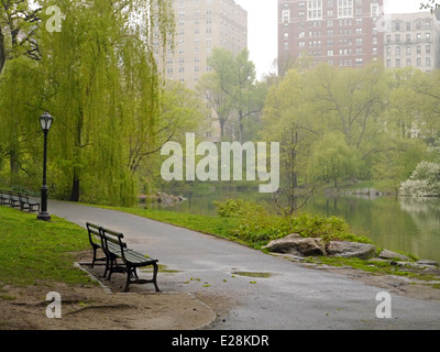 Central Park an einem nebligen Tag mit einer leeren Parkbank im Vordergrund Stockfoto