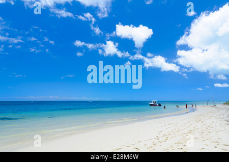 Paradies: Perfekte tropischen Strand mit Meer / Ozean und blauer Himmel Stockfoto