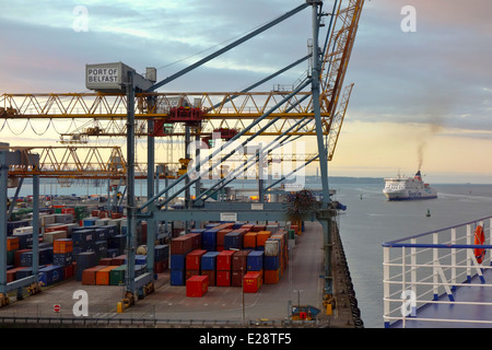 Hafen von Belfast Containerterminal mit Kränen Stockfoto