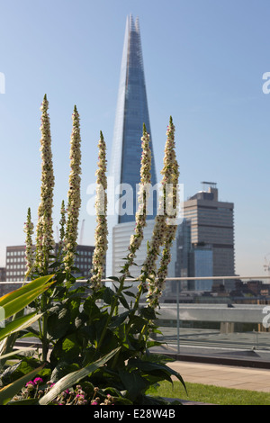 Die Dachgärten von Nomuras Londoner Büros zugänglich für die Öffentlichkeit, zum ersten Mal im Rahmen des öffnen Garten Quadrate Wochenende 2014 Stockfoto