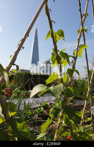 Die Dachgärten von Nomuras Londoner Büros zugänglich für die Öffentlichkeit, zum ersten Mal im Rahmen des öffnen Garten Quadrate Wochenende 2014 Stockfoto