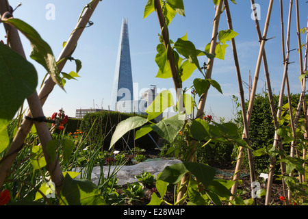 Die Dachgärten von Nomuras Londoner Büros zugänglich für die Öffentlichkeit, zum ersten Mal im Rahmen des öffnen Garten Quadrate Wochenende 2014 Stockfoto