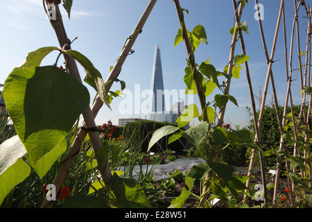 Die Dachgärten von Nomuras Londoner Büros zugänglich für die Öffentlichkeit, zum ersten Mal im Rahmen des öffnen Garten Quadrate Wochenende 2014 Stockfoto