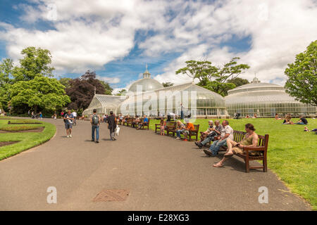 Botanische Gärten, Glasgow, Schottland, Großbritannien. 17. Juni 2014.  Obwohl es der heißeste Tag des Jahres und es wird bewölkt Zaubersprüche, dies ist nicht stoppen Menschen im Park entspannen. Paul Stewart/Alamy News Stockfoto